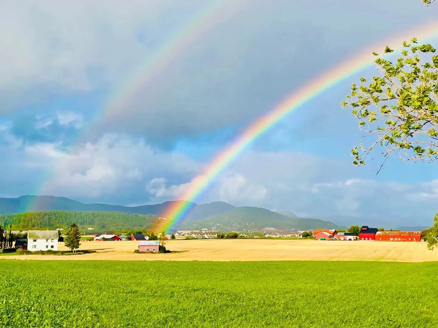互相借鉴教学相长作文1000字,教学相长作文