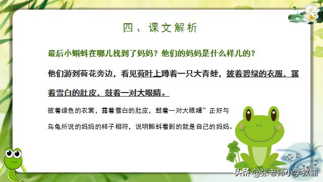 小蝌蚪找妈妈课程分享ppt,小蝌蚪找妈妈ppt教师讲解视频