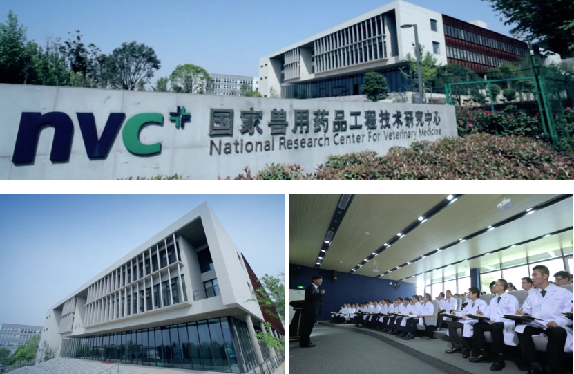 对话田克恭：普莱柯通过组织化创新驱动研发创新