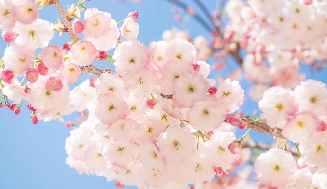 三亚和厦门哪一个更值得去旅游,三亚和厦门哪个地方值得去