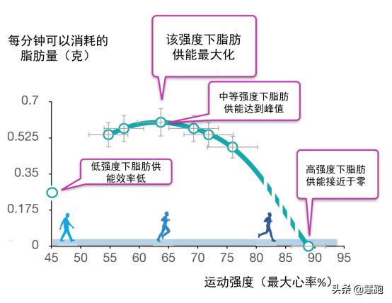 研究表明跑步的好处,最新研究跑步的好处