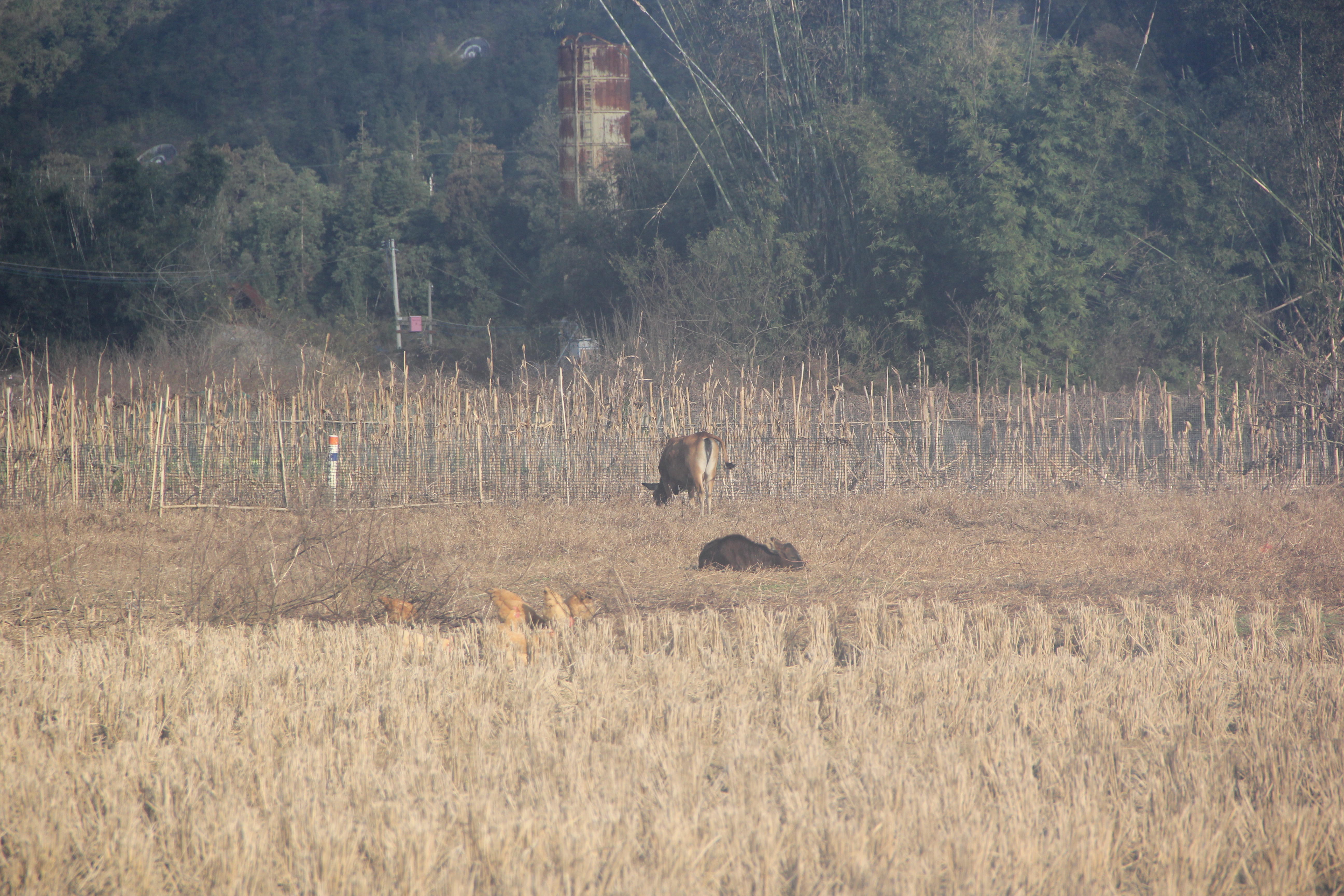 二手单反相机容易坏吗,买二手单反要注意什么问题