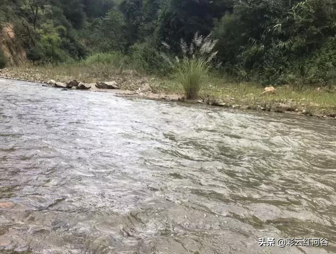 本那河在哪里,尼罗河的真实来历