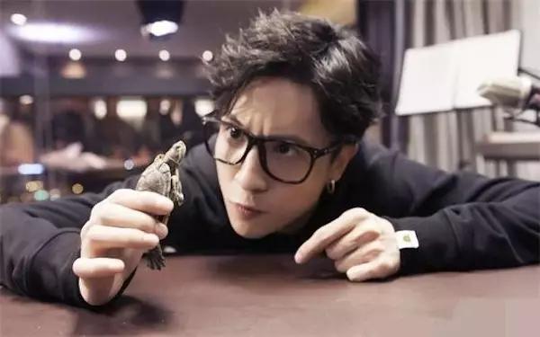 浙江网红男主播网红排行榜前十名,2017年中国网红排行榜