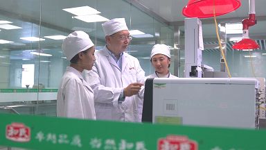 “奶中之王”|羊奶粉是更接近母乳的营养之选