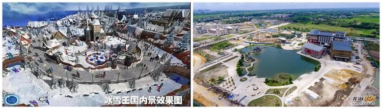 候鸟消费能力剑指何处，北海的候鸟经济究竟是利是弊？