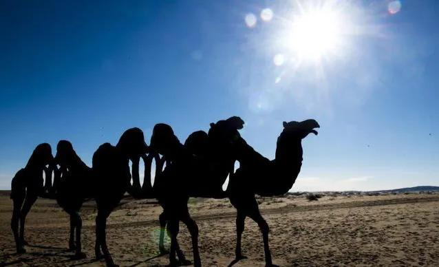 印象甘肃视频,印象甘肃乡村美景