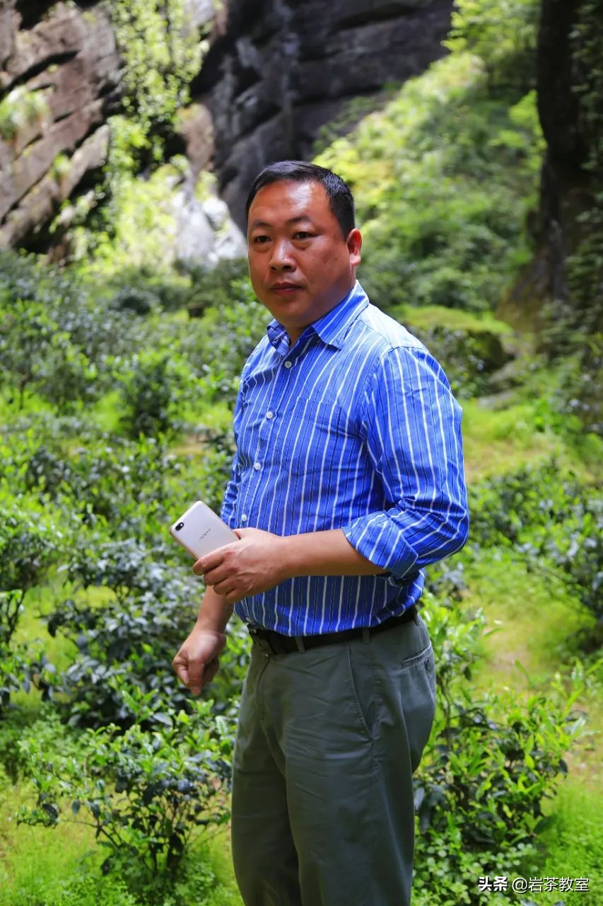 曦瓜鬼洞铁罗汉新老包装区别,曦瓜内鬼洞铁罗汉品鉴