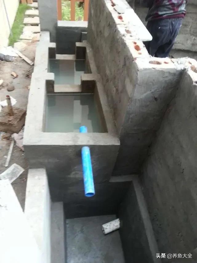 鱼池全部建造过程,鱼池建造大型全过程