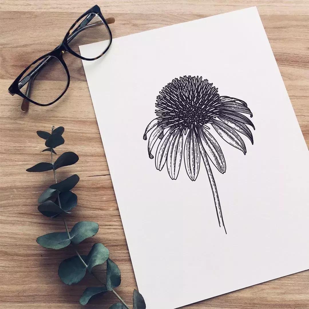 这一波手绘太给力了,绝对让你练完不厉害都难