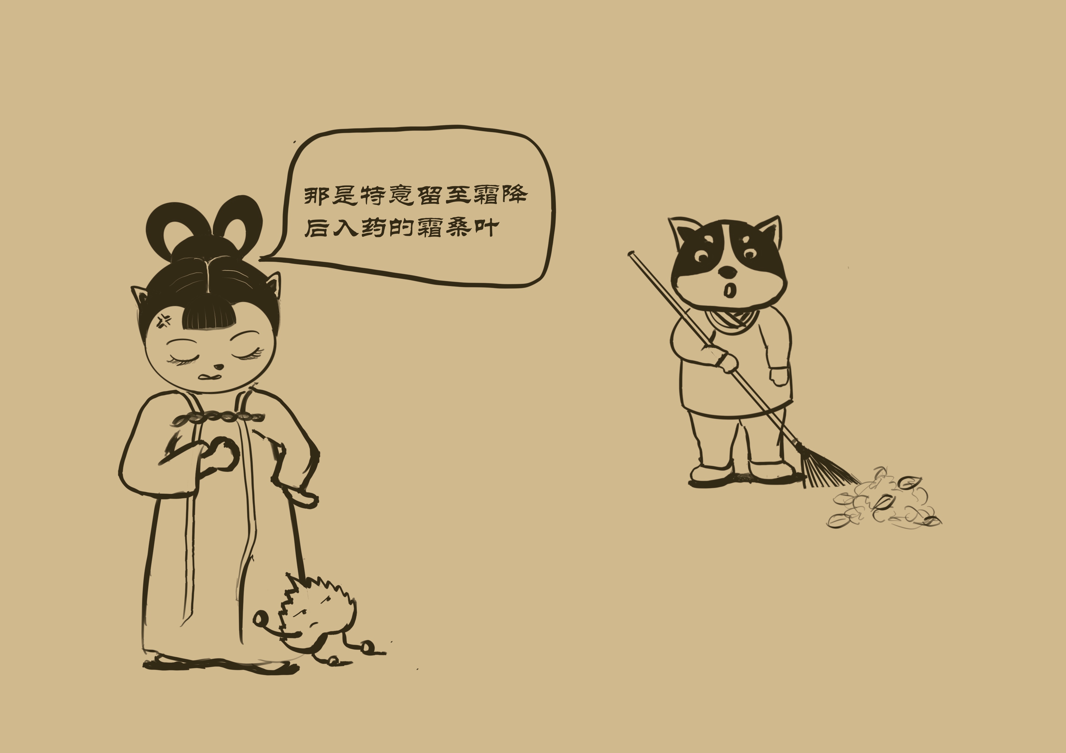 桑叶泡茶喝的作用与功效,晒干的桑叶泡茶喝有什么功效