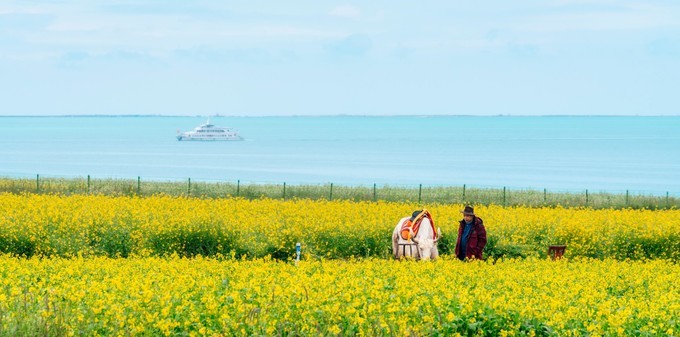 七八月份青海湖旅游攻略图集大全,青海湖7月攻略