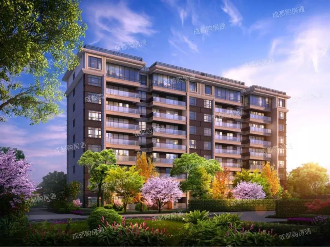 有的人表面报名摇“仁恒”，背地里却在默背这篇200万级买房攻略