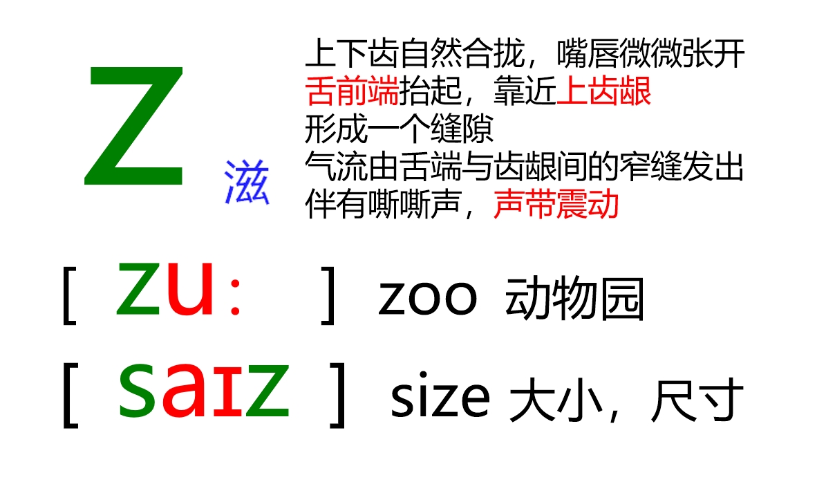 48张国际音标卡片大号,音标48个卡片