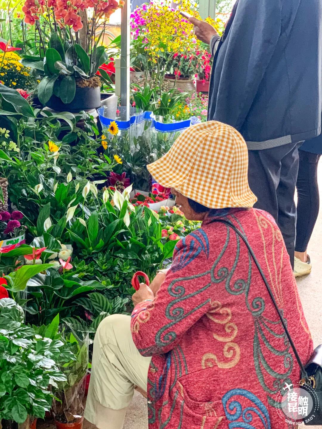 昆明鲜花进货渠道,昆明尚义花市