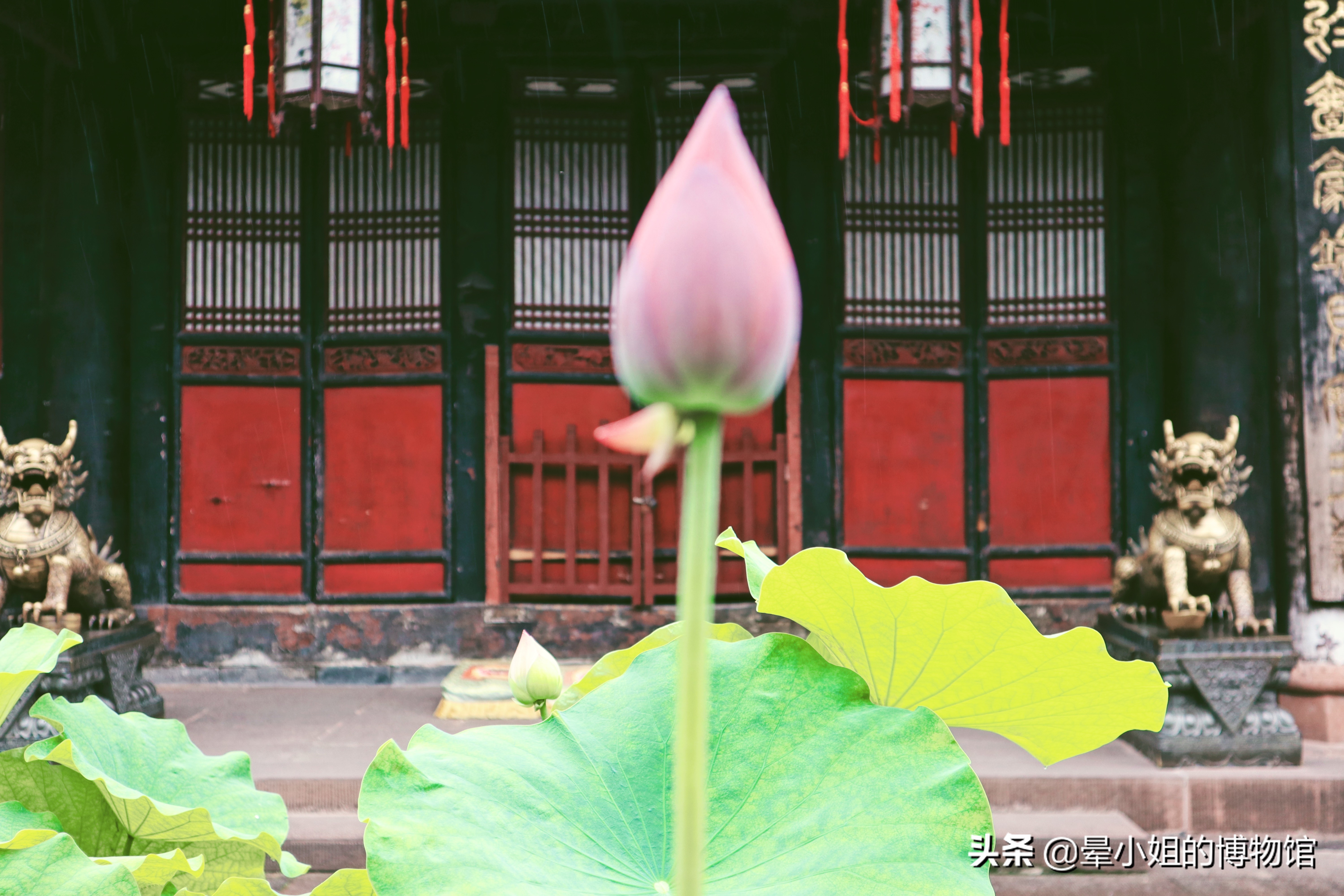 文殊院禅林圣迹,中国四大禅林文殊院