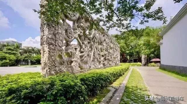 深圳60个最适合一日免费景点,暑假深圳旅游必去十大景点