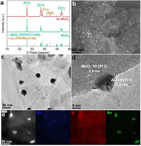 通过Au-MoO2异质结构的Au-O键强耦合实现增强析氢反应