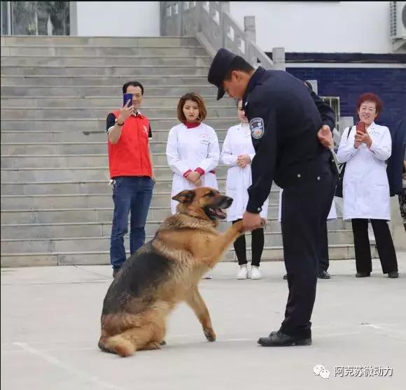 今天把最美的祝福送给考生,守边人的祝福