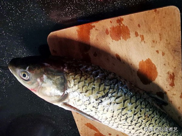 夏日解暑啤酒,夏日啤酒不限量