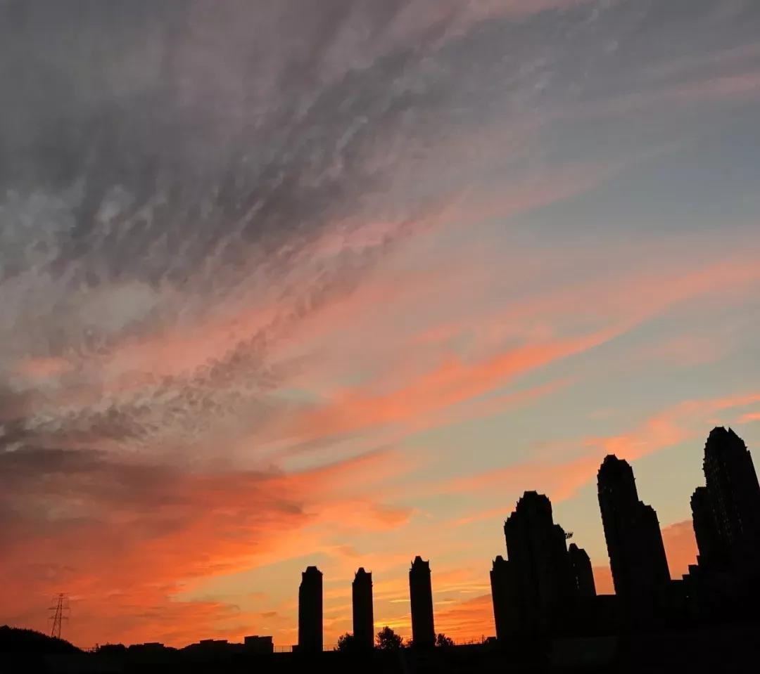 辽宁省民办大学（二）大连东软信息学院