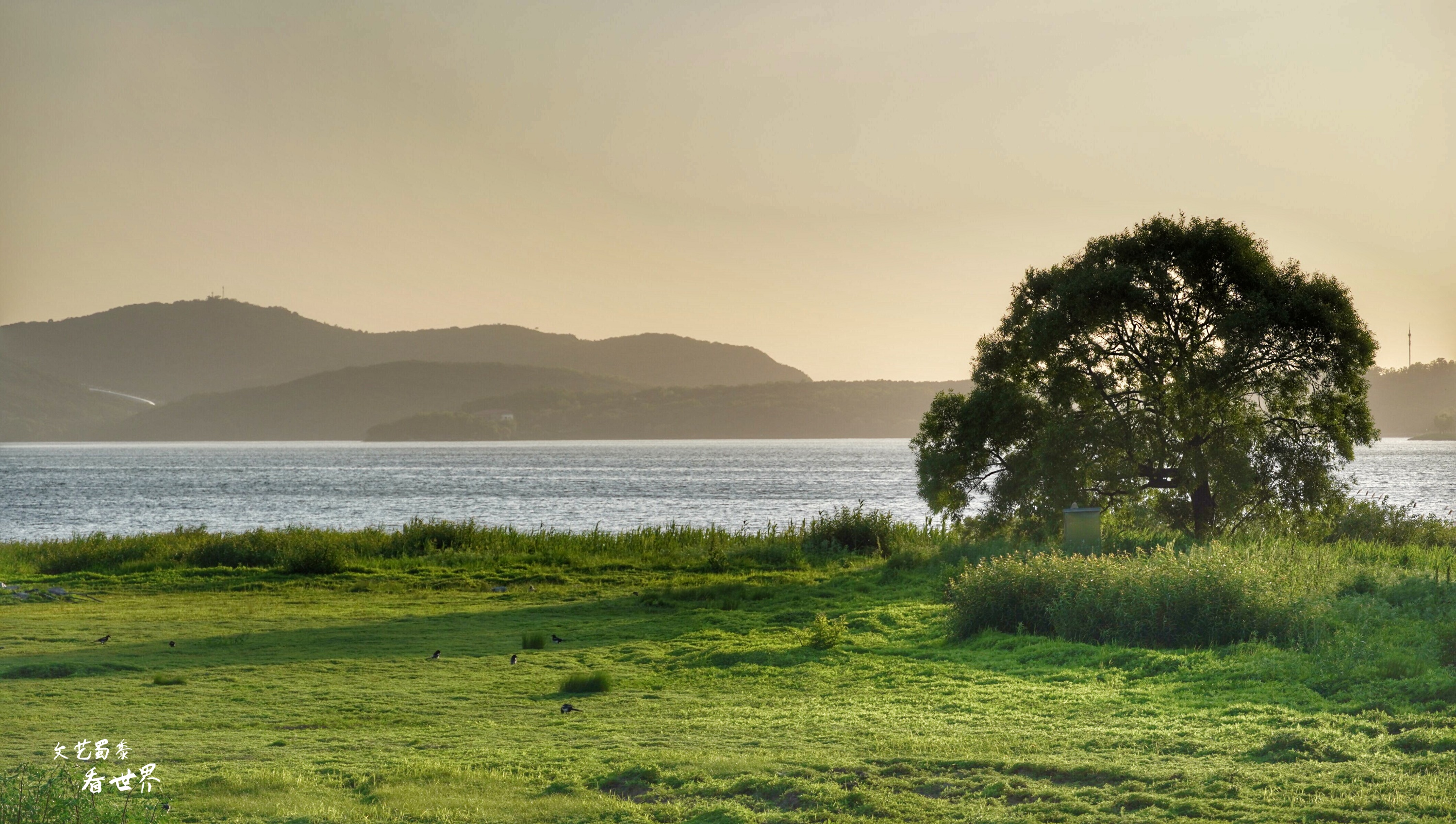 6个景点玩转沈阳的旅行攻略,沈阳最不值得去的景点排名前十