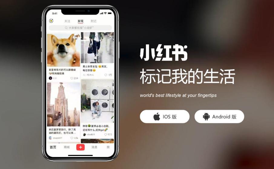 小红书为什么被要求下架整改,小红书种草被拉黑