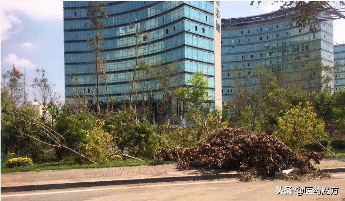 csco指南背后的故事,csco国家指南科普