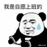 货代都做哪些工作,货代从事的工作有哪些