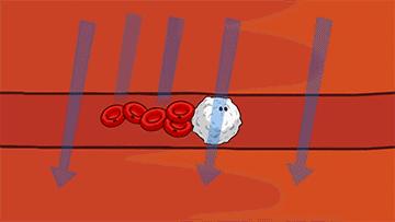 曲曼奥利司他胶囊真的能瘦吗,奥利司他胶囊真的能瘦吗