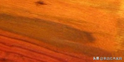 看完这篇红木图解你就是专家,红木百科知识图解