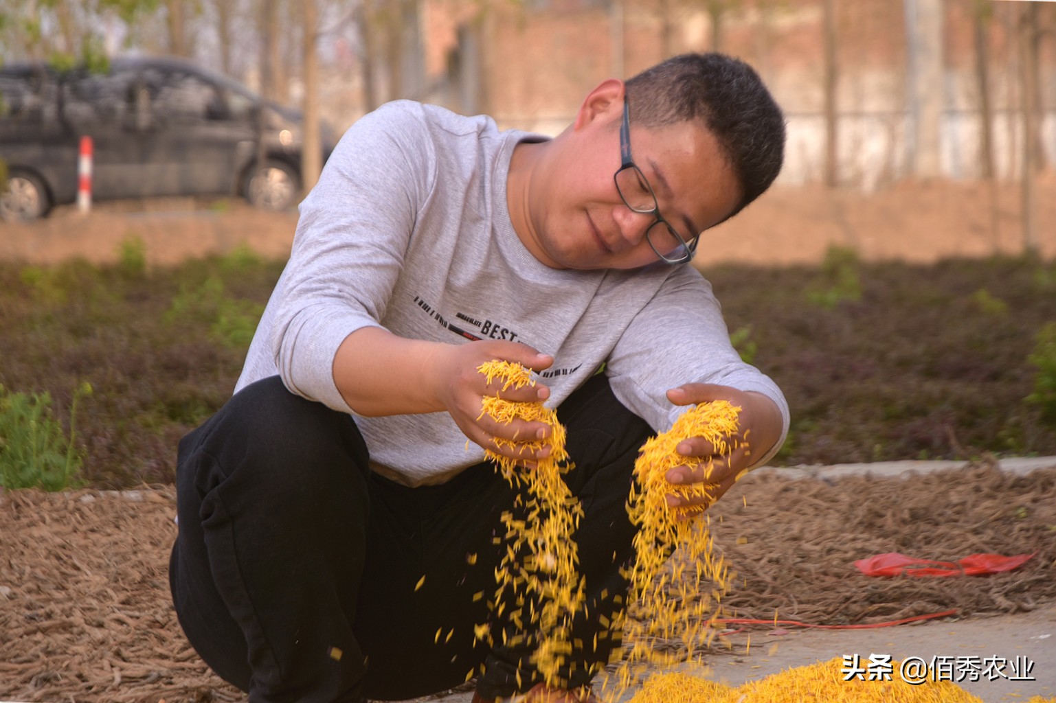 农村4个未来5年吃香的行业,未来三年农村有4个致富行业