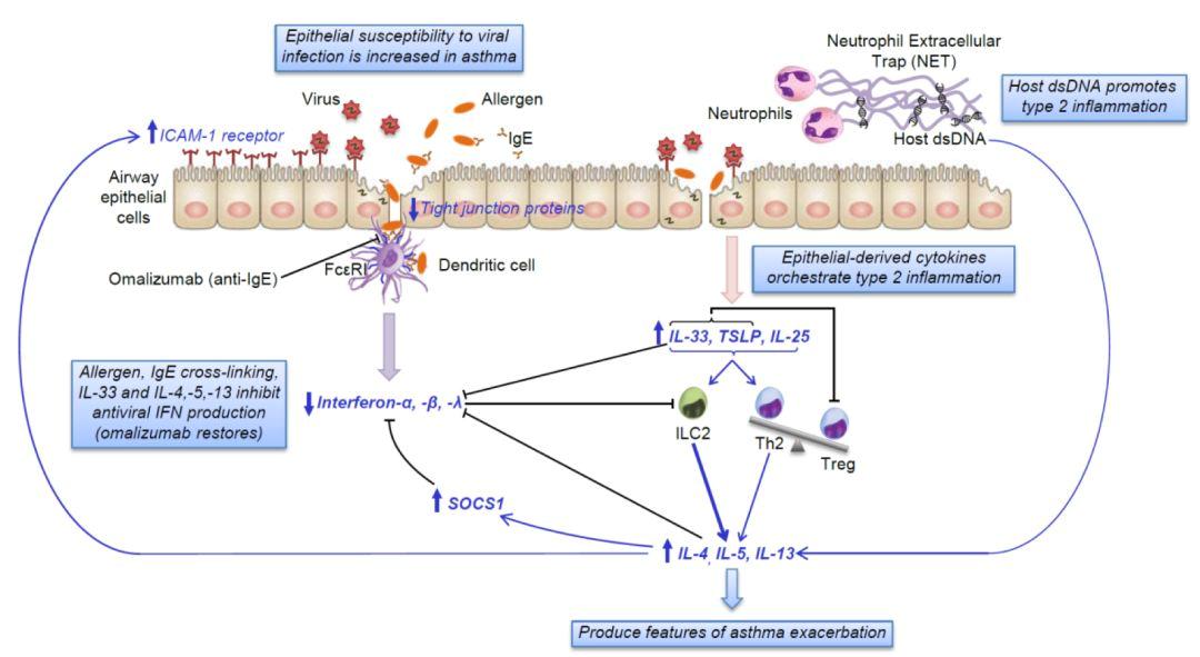 陈荣昌在哪个医院,陈荣昌广州呼吸疾病研究所所长