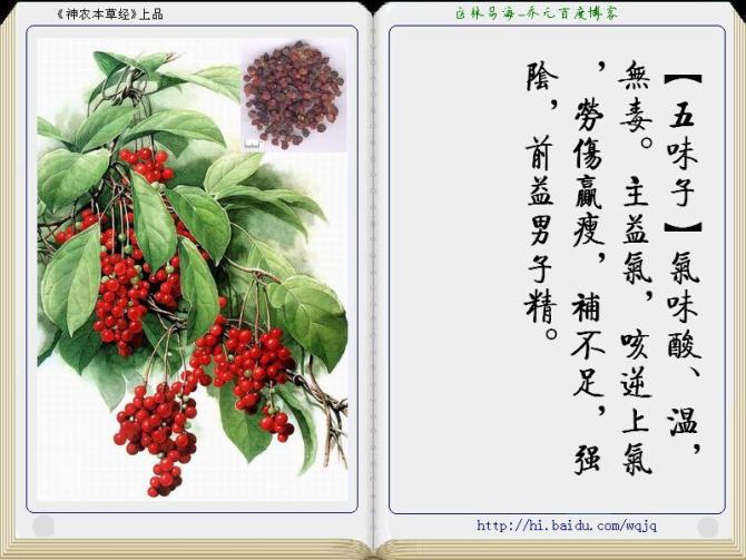 本草纲目中药讲解视频,本草纲目中药图谱及药理讲解