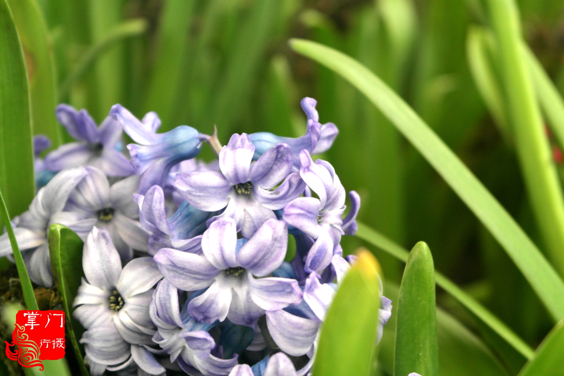广州白云山游记一次身心愉悦之旅,广州白云山云台旅游