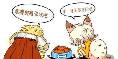 皇家和渴望狗粮,夹心狗粮伯纳天纯