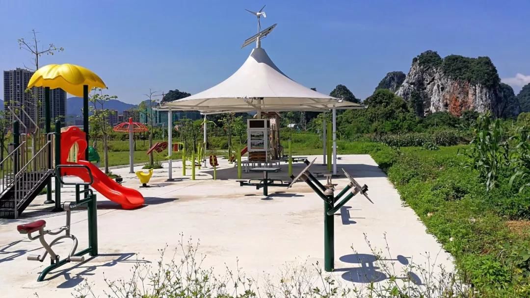 赏石艺、休闲游，这个体育公园都可以满足你！