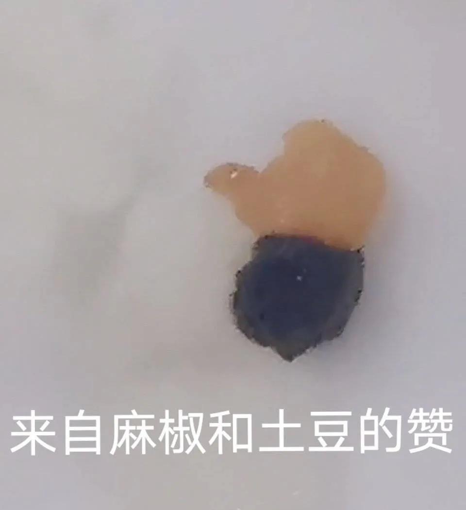 我是不是最后一个知道A站还活着的人？