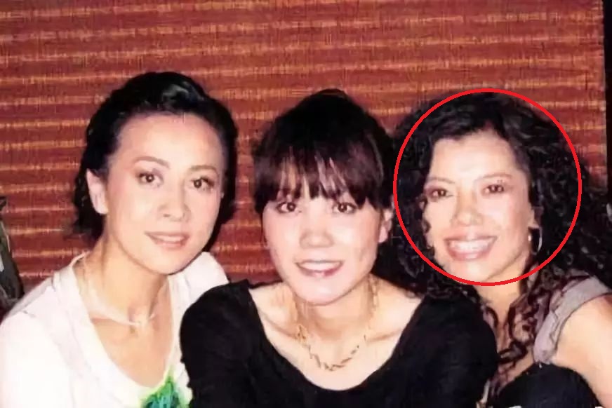 那英王菲互怼,王菲那英怼人合集