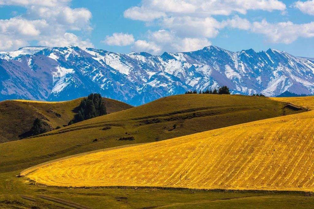 为什么建议不要频繁的换工作,如何看待年轻人频繁换工作