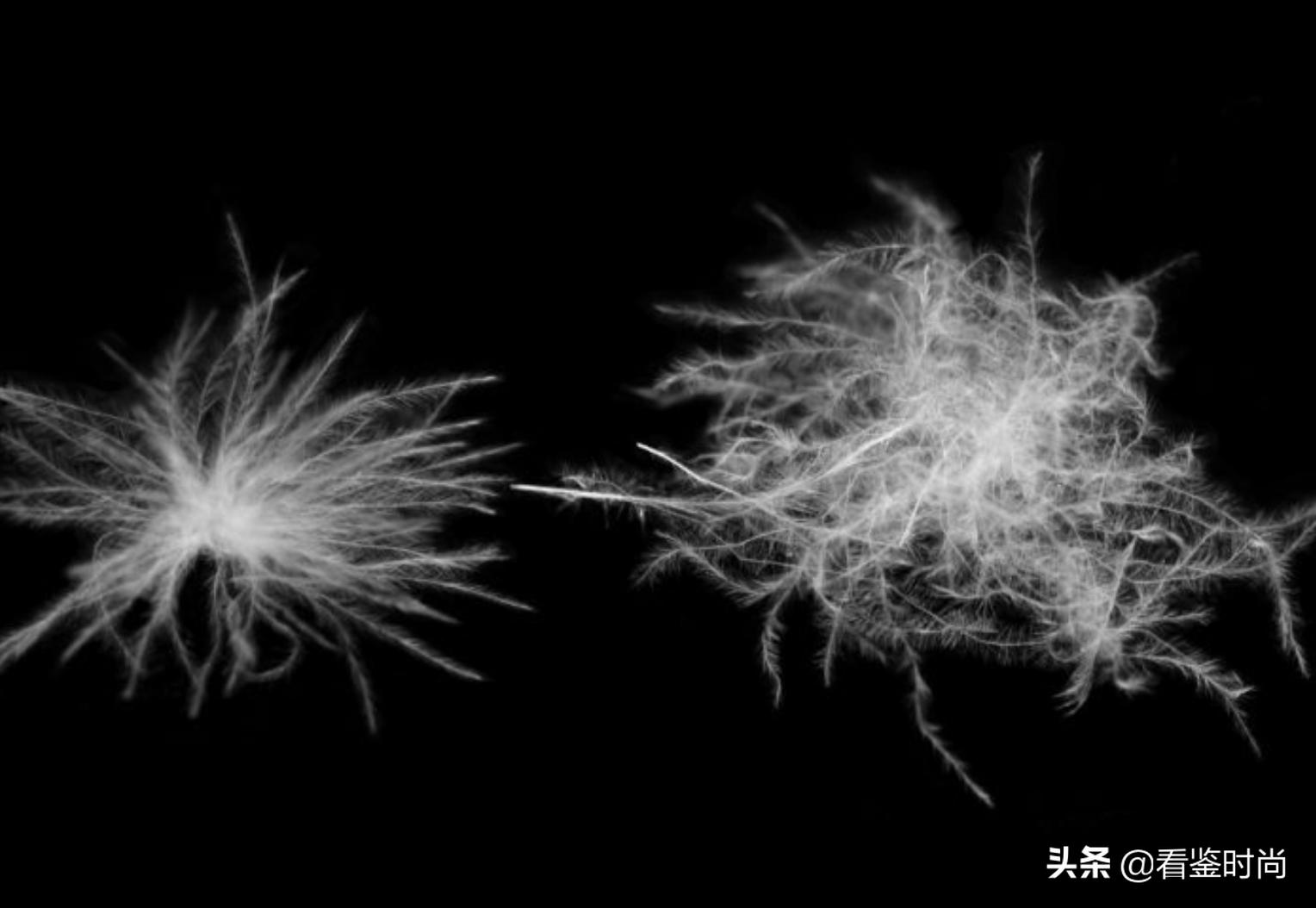 moncler羽绒服最后一件该不该买,为什么moncler这么贵