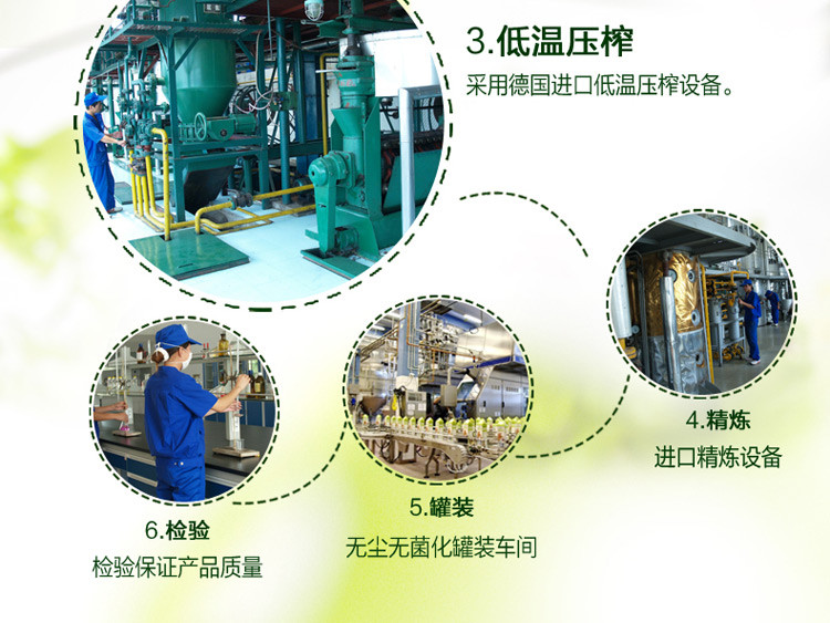 核桃油怎么吃更有营养,核桃油受欢迎吗