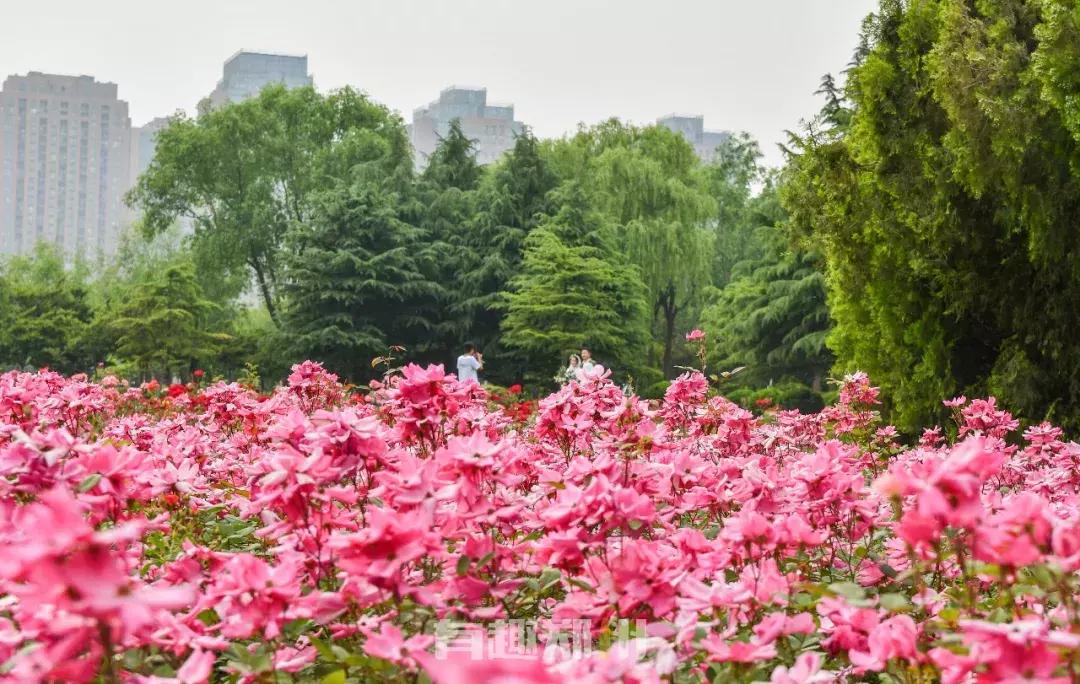 郑州地铁五号线游玩攻略秋季,郑州地铁与5号线沿途有哪些景点