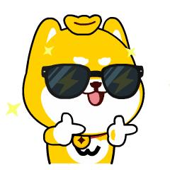 临沂猪肉价格现在是多少,临沂的猪肉为什么那么便宜