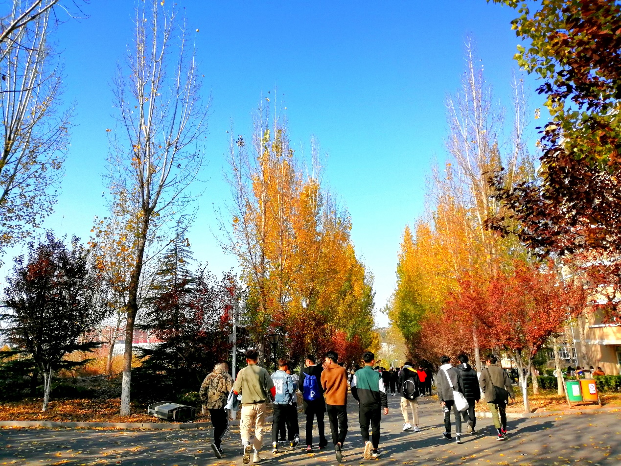 荣耀10青春版朱正廷壁纸无水印,荣耀10青春版渐变红