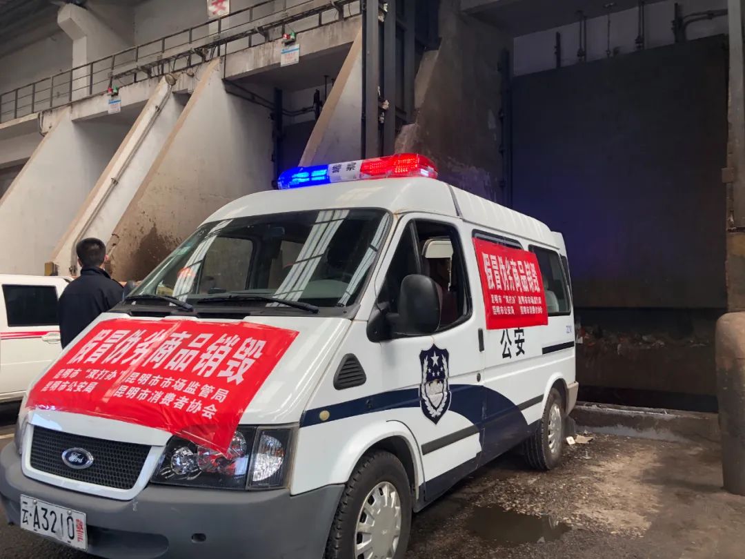 我为cop15做贡献,我为cop15做贡献视频