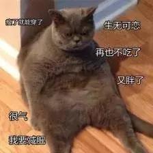 怎么吃也不会长胖的低卡零食，点进来收获快乐