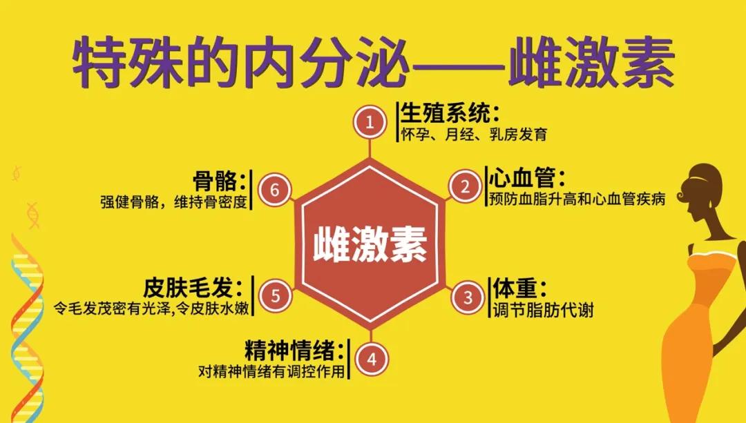 乘风破浪的姐姐爆火原因,乘风破浪的姐姐热度高吗