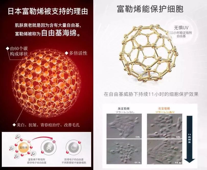姚晨和刘涛高清图片大全,41岁刘涛和40岁姚晨同登杂志