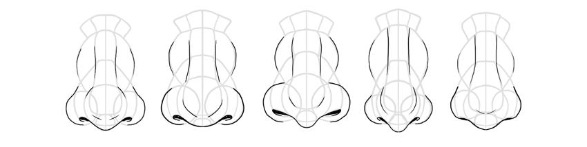 画鼻子怎么画好看,今天来教你怎么画鼻子